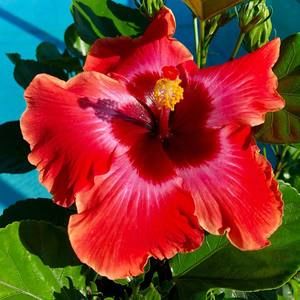 Meet your Posher, Mandy